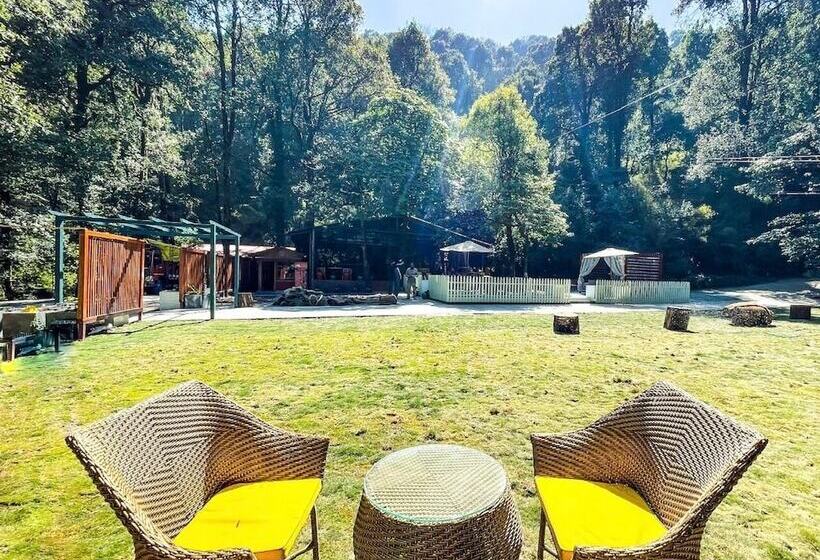 בית מלון כפרי Ayar Jungle Resort