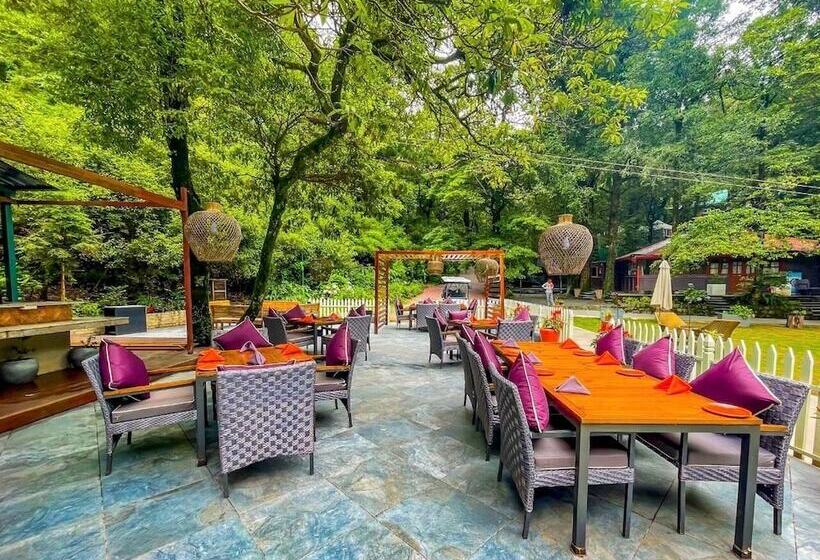 בית מלון כפרי Ayar Jungle Resort