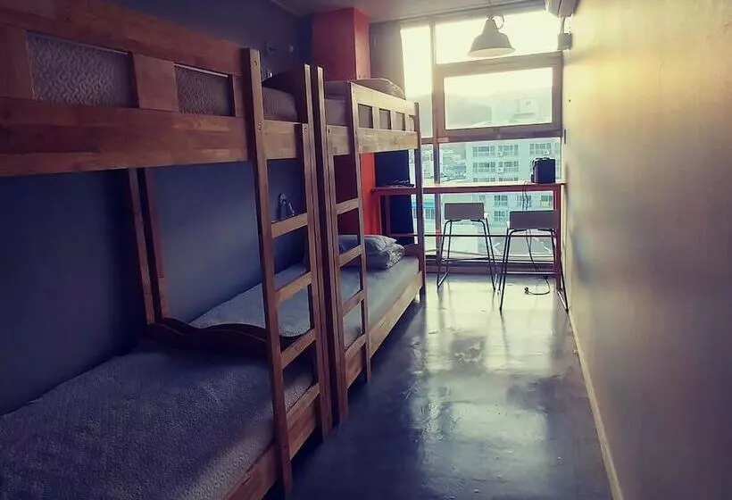 Life Guesthouse   Hostel