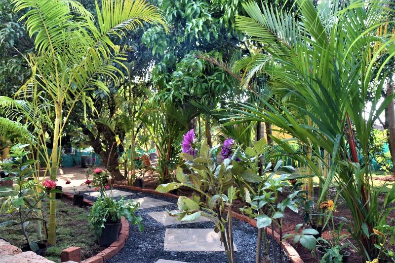 بنسيون Aaria Hills