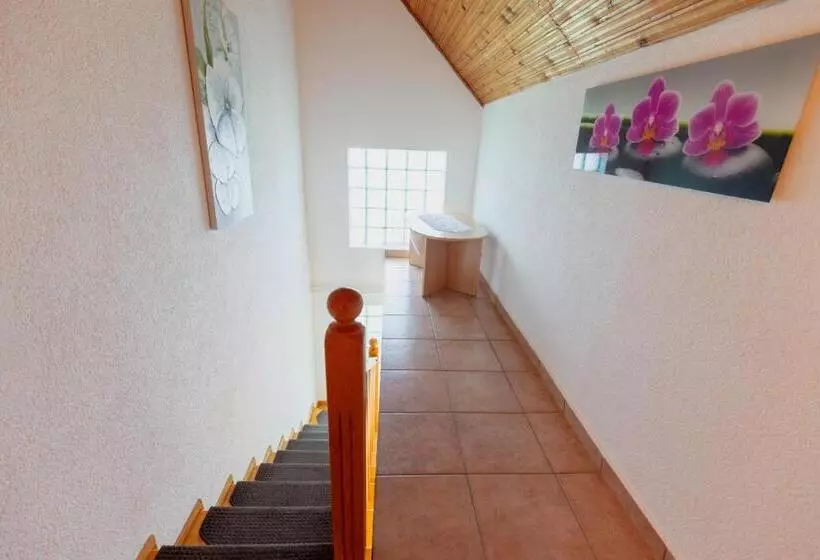 پانسیون Apartments And Rooms With Parking Space Jezerce, Plitvice   17768