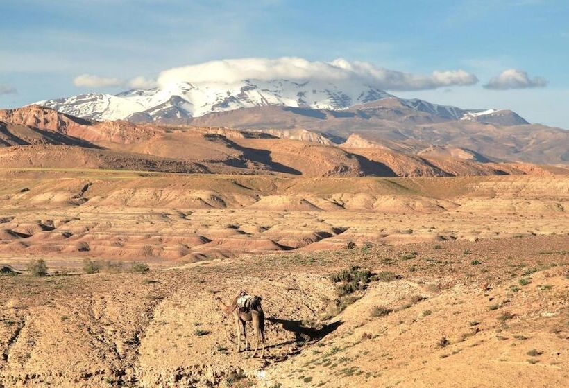 بنسيون Kasbah Tifaoute Ait Ben Haddou