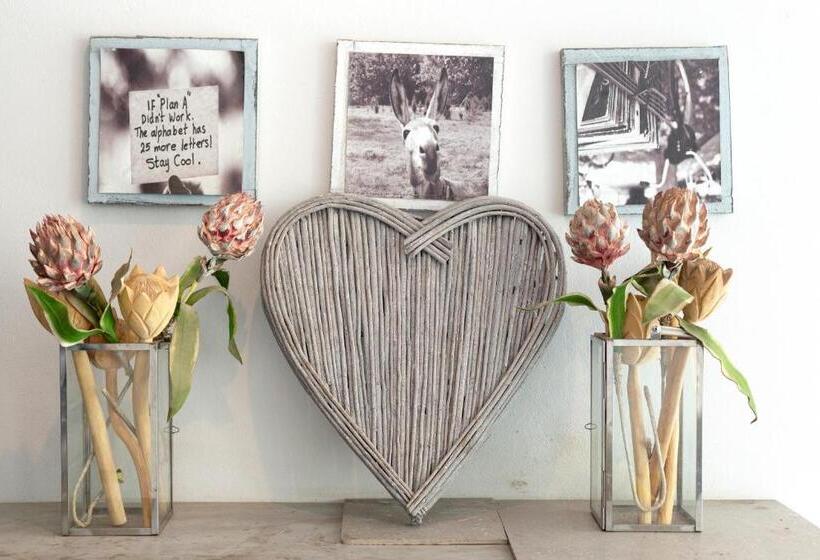 פנסיון Taunton Manor