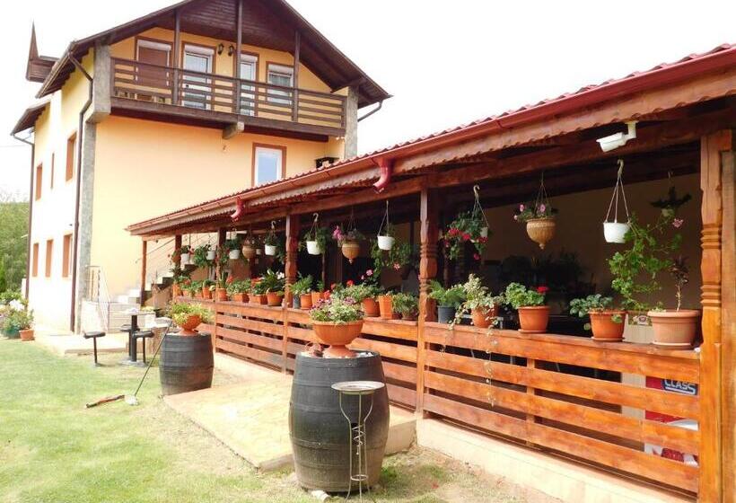 Pensiunea Casa Domnitei