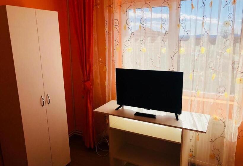 Pensiunea Casa Domnitei