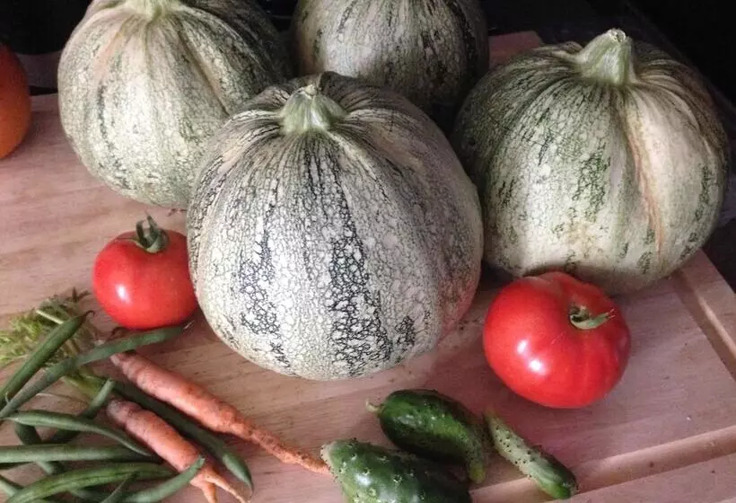 ベッドアンドブレックファースト Château De Perpezat