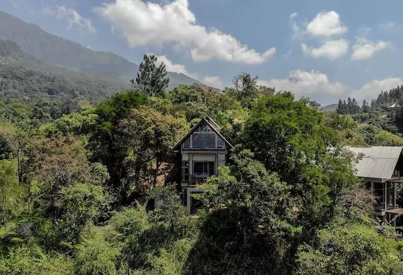 Hotelli Treehouse Chalets