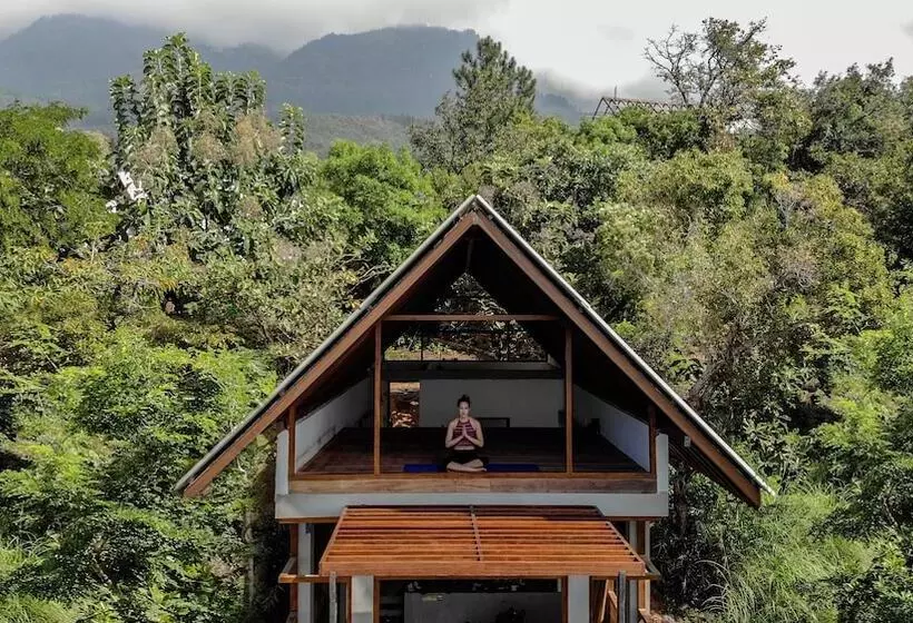 Hotelli Treehouse Chalets