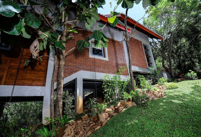 ホテル Treehouse Chalets