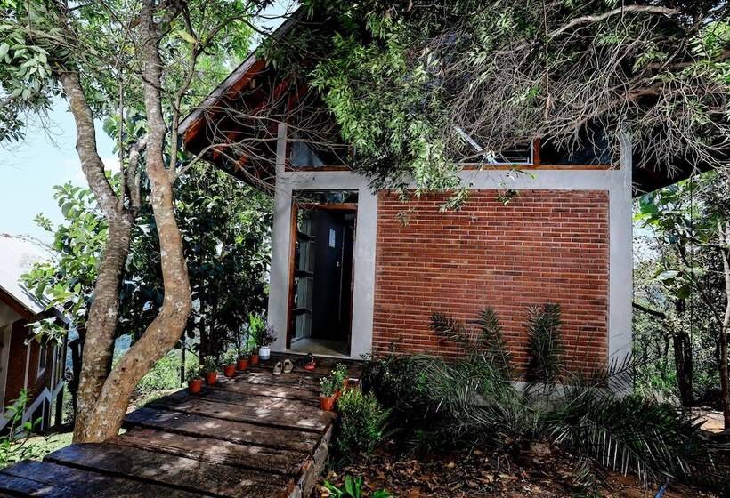 ホテル Treehouse Chalets