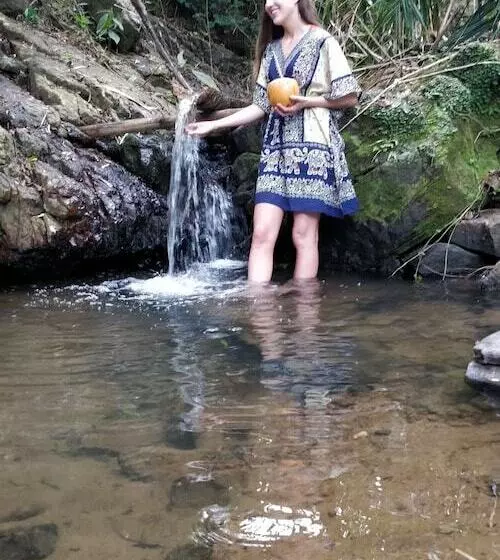 Hotelli Treehouse Chalets