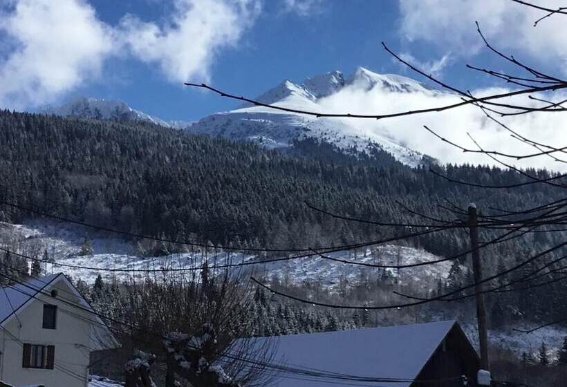 بنسيون Le Grand Joly