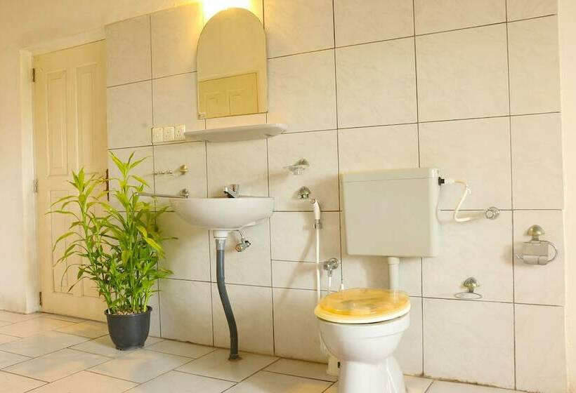 بنسيون Aurelia Negombo