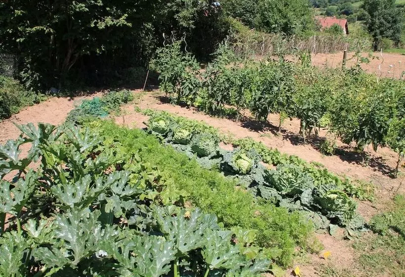 Majatalo Le Haut Mesnil   8