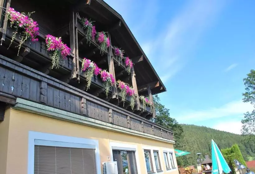 Pension Savisalo