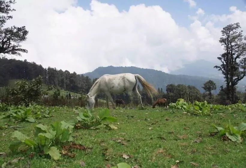 Lomakeskus Agyaat Vaas