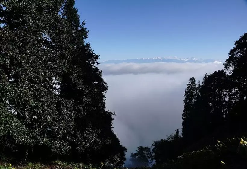 Lomakeskus Agyaat Vaas