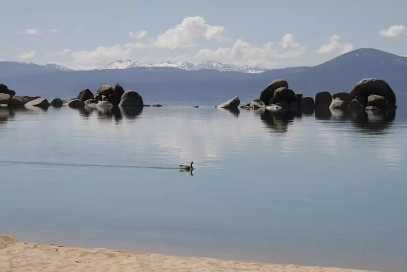 호텔 Avalon Lodge South Lake Tahoe