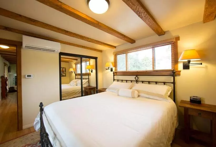 Отель Blue Iguana Inn