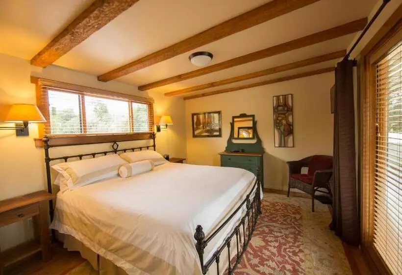 Отель Blue Iguana Inn