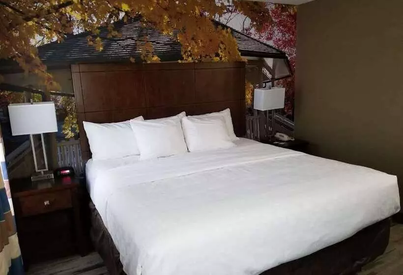 ホテル Surestay Plus By Best Western Corydon