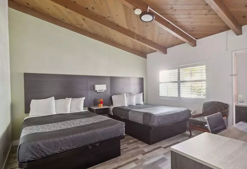 酒店 Discovery Inn Monterey Bay