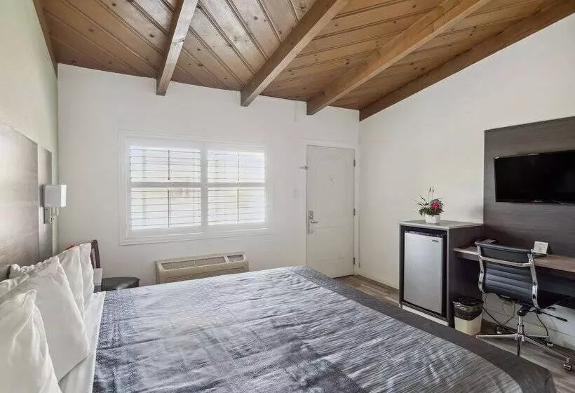 酒店 Discovery Inn Monterey Bay