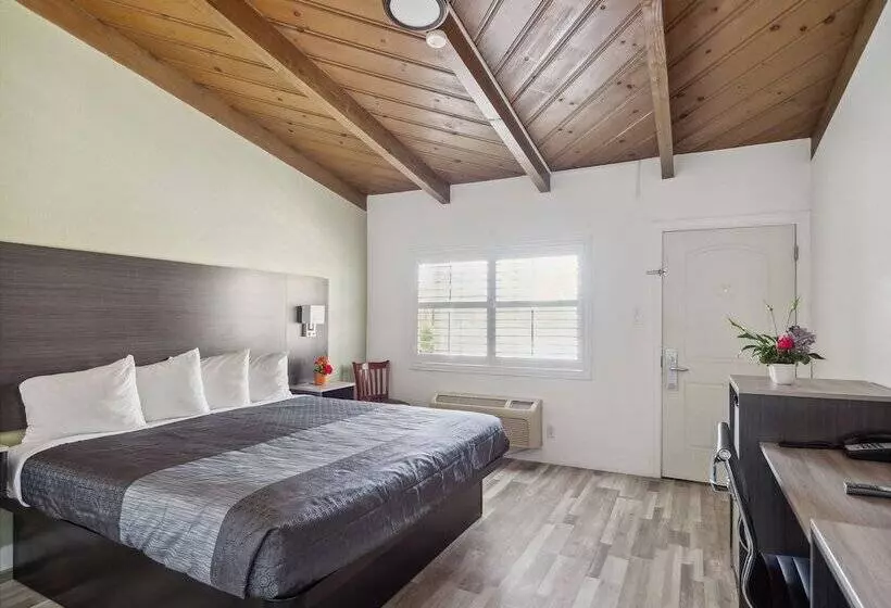 酒店 Discovery Inn Monterey Bay