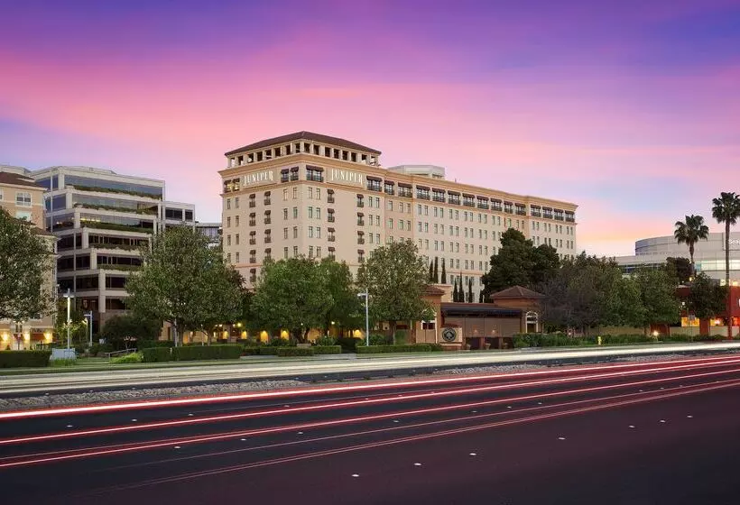 Juniper Hotel Cupertino, Curio Collection By Hilton