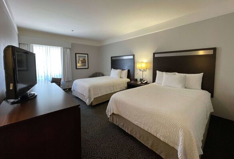 בית מלון כפרי Spark By Hilton Houston West Clay Road