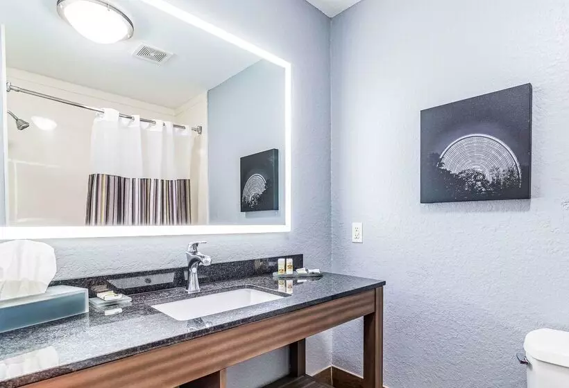 酒店 La Quinta By Wyndham Tomball