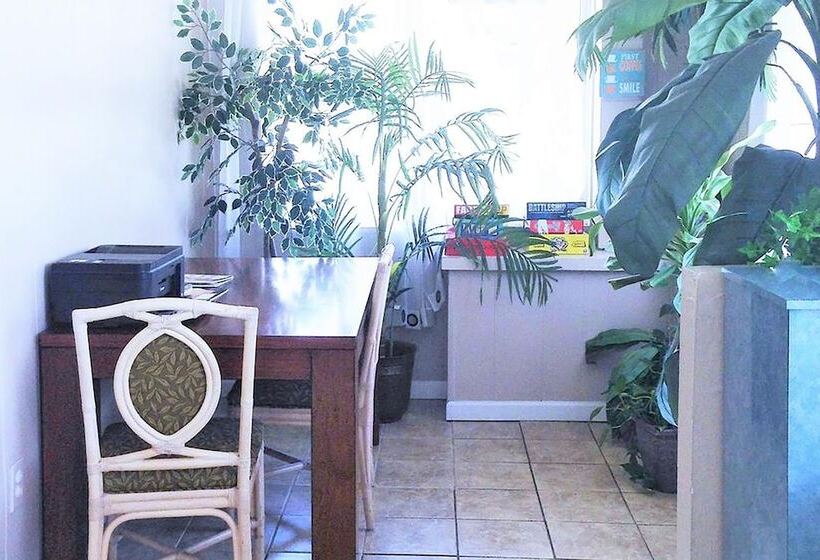 فندق Micanopy Inn