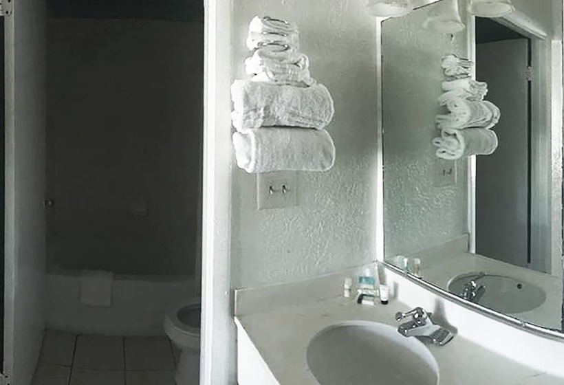 فندق Micanopy Inn