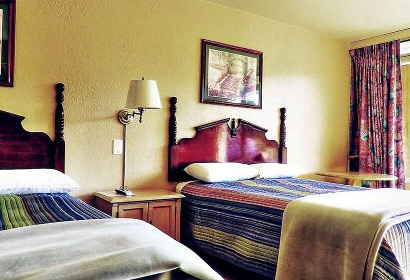 فندق Micanopy Inn