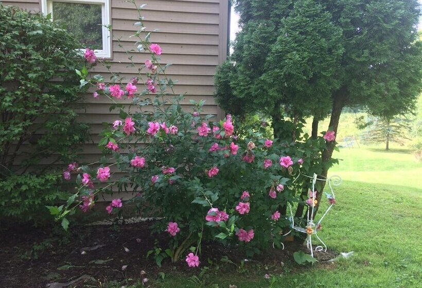 Отель Spruce Hill Inn & Cottages