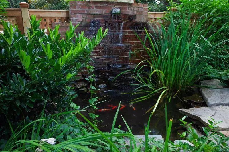 هتل The Bellmoor Inn And Spa