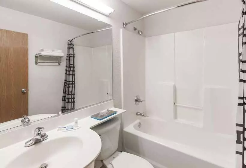 Microtel Inn & Suites By Wyndham Ardmore