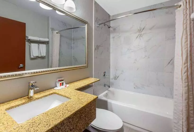 Microtel Inn Suite By Wyndham Bwi Airport