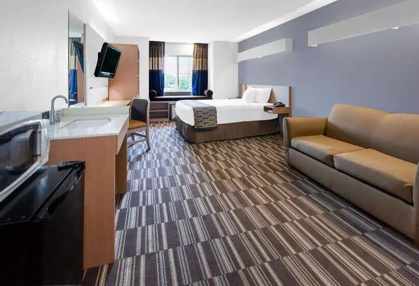 Microtel Inn Suite By Wyndham Bwi Airport