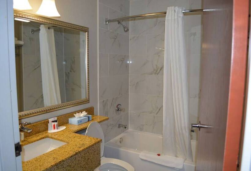 Microtel Inn Suite By Wyndham Bwi Airport