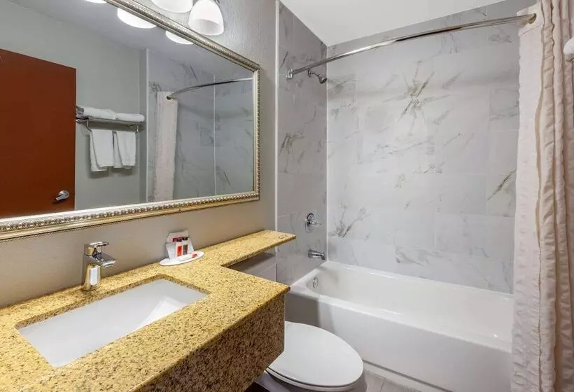 Microtel Inn Suite By Wyndham Bwi Airport