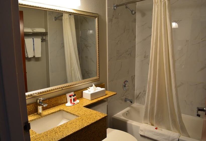 Microtel Inn Suite By Wyndham Bwi Airport