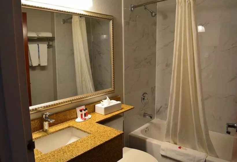 Microtel Inn Suite By Wyndham Bwi Airport