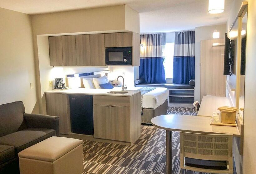 Microtel Inn & Suites By Wyndham Eagan/st Paul