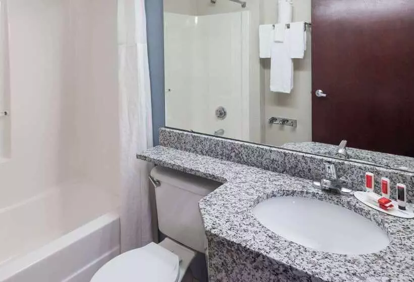 Microtel Inn & Suites By Wyndham Greenville / Woodruff Rd