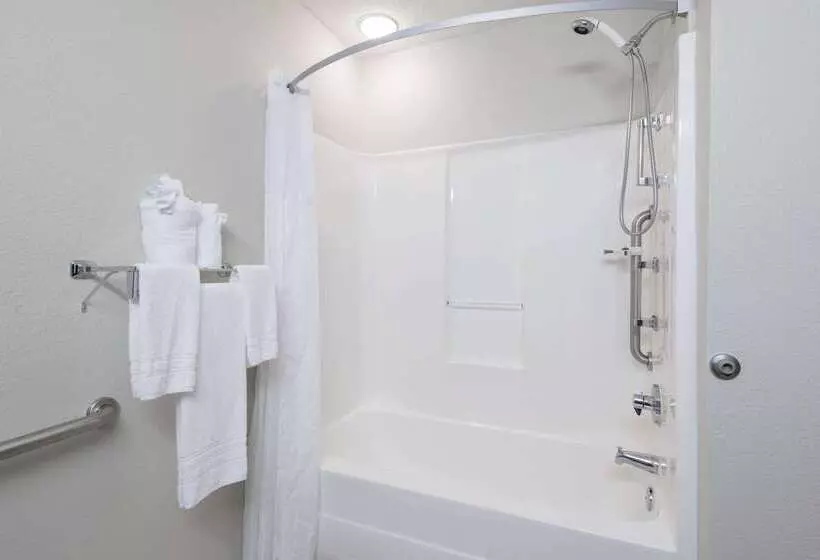 Microtel Inn & Suites By Wyndham Greenville / Woodruff Rd