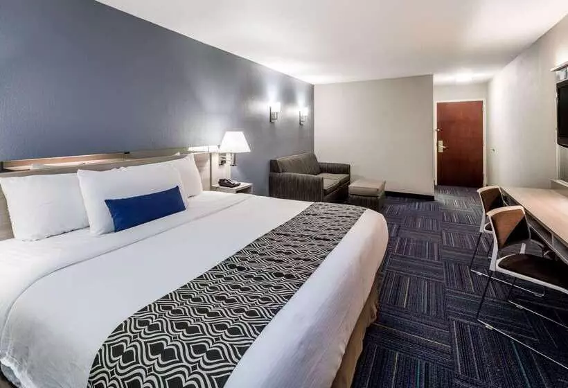 Microtel Inn & Suites By Wyndham Greenville / Woodruff Rd