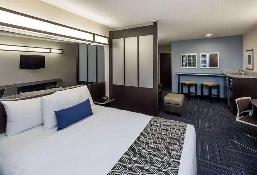 Microtel Inn & Suites By Wyndham Greenville / Woodruff Rd
