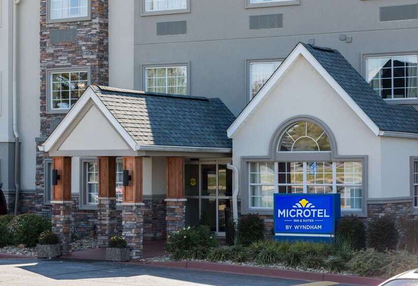 Microtel Inn & Suites By Wyndham Greenville / Woodruff Rd
