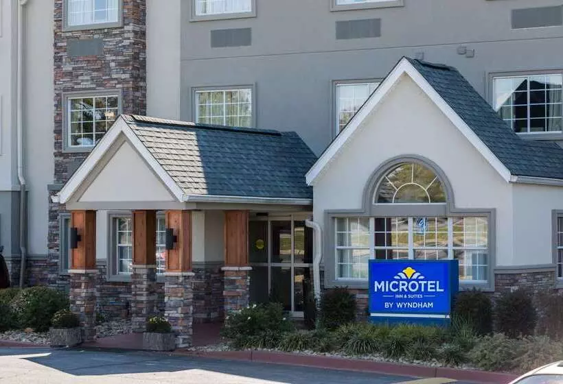 Microtel Inn & Suites By Wyndham Greenville / Woodruff Rd